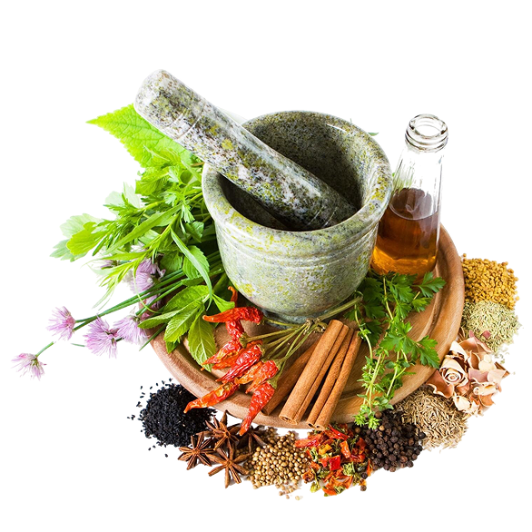 Herbal ingredients with a mortar and pestle